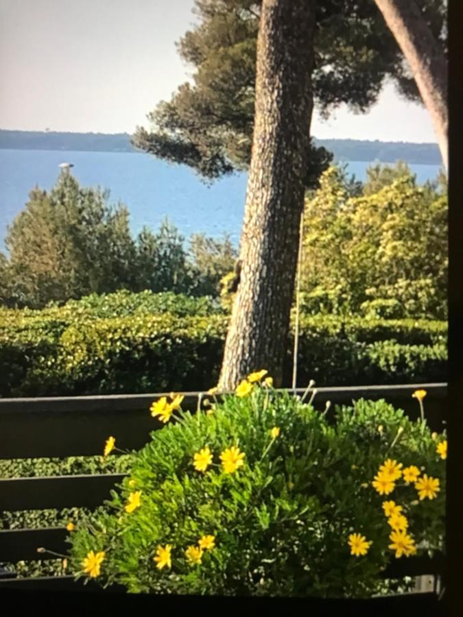 Casa Dade Villa Cannes Ngoại thất bức ảnh